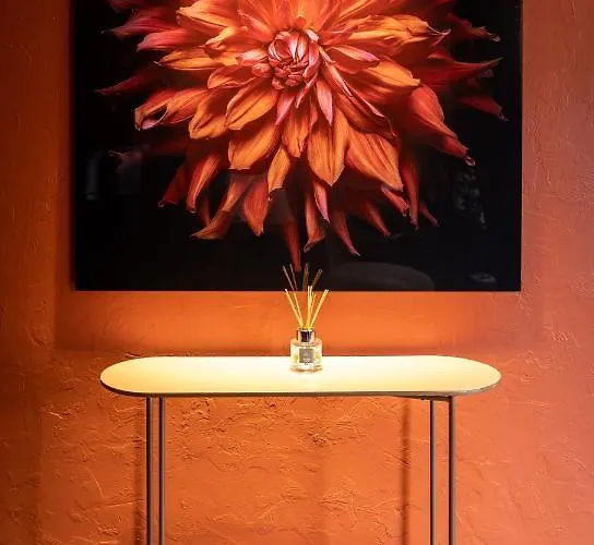 Hotel Naad Centre 3*